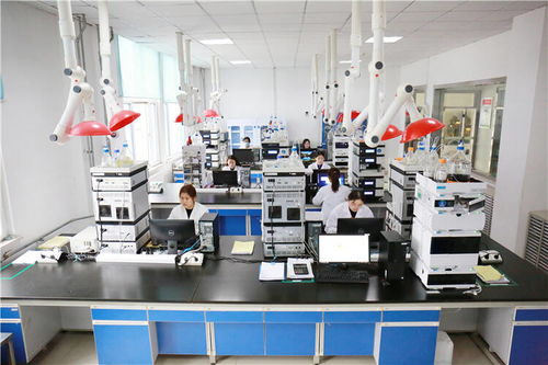 喜迎二十大 奮進(jìn)新征程 壽光打造全產(chǎn)業(yè)鏈，以新材料技術(shù)研發(fā)勾勒高質(zhì)量發(fā)展新版圖