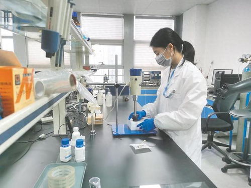 南寧市聚力政策落實(shí)與科技研發(fā)，賦能民營(yíng)經(jīng)濟(jì)高質(zhì)量發(fā)展